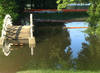 Luisium 9.6.2013, endlich sind aussendeichs 4 cm Wasserstand gefallen ... (Foto Horst Woche) 060620131879.jpg