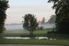 Wörlitz 8.6.2013, der Nebel stieg gerade aus den Wiesen und Äckern IMG_5076.jpeg