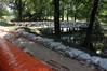 Luisium, 18.6.2013, obwohl das meiste Wasser weg ist, ... IMG_7496.jpeg