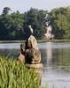 Wörlitz 10.6.2013, der Reiher am Ufer in der Sicht zur Gartenseite des Gotischen Hauses Img_6240Ak.jpg